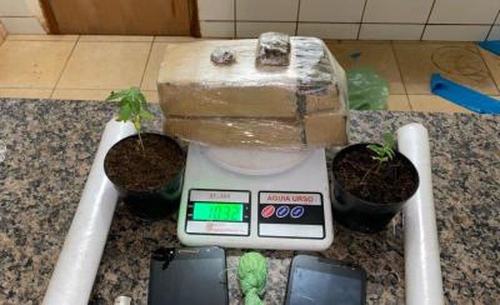 A polícia apreendeu 1kg de maconha, 15 gramas de cocaína e dois pés de maconha - Foto: Divulgação PM
