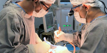 As cirurgias neurológicas foram realizadas no Hospital Regional de Augustinópolis (HRAUG) - Foto: Divulgação.